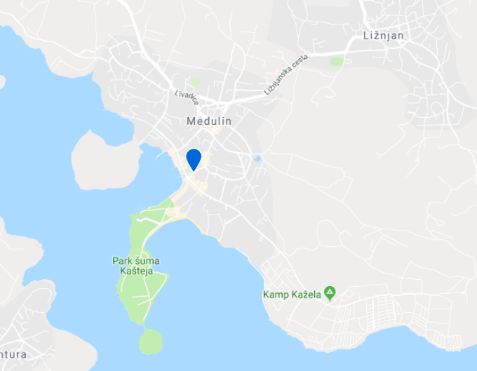 Google maps close view